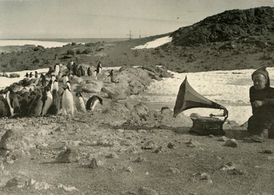 Pinguïns luisteren naar de grammofoon tijdens de zomer, 1908, 1909 door Unbekannt
