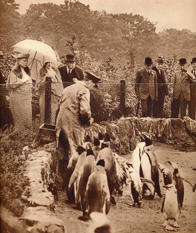 Pinguïns op parade voor de koning, 1934-1935 door Unbekannt