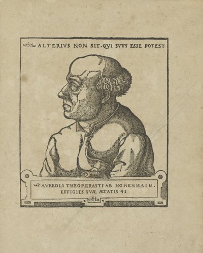 Philippus Theophrastus Aureolus Bombastus von Hohenheim Paracelsus, ca 1538 door Unbekannt