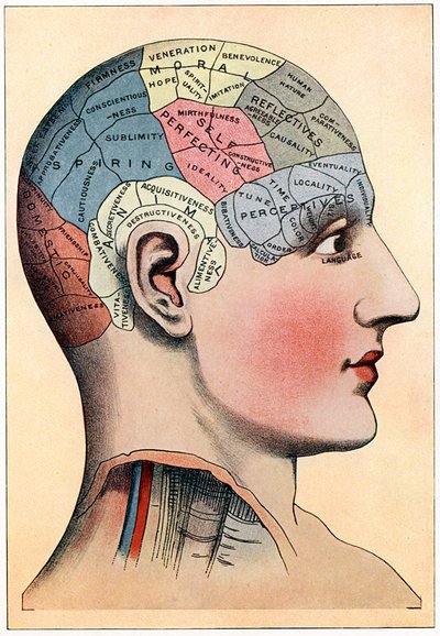 Frenologiekaart, met veronderstelde activiteitsgebieden van de hersenen, c1920 door Unbekannt