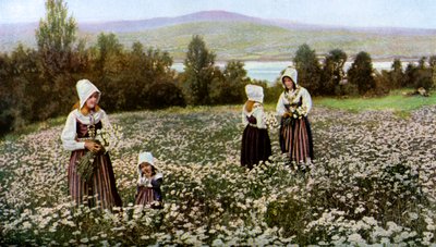 Bloemen plukken in een weide bij Leksand, Zweden, ca. 1923 door Unbekannt