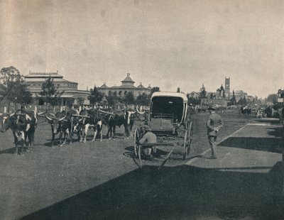 Pietermaritzburg, ca. 1900 door Unbekannt