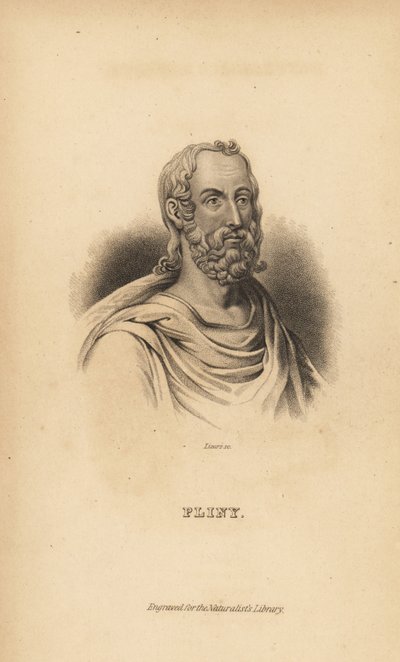 Plinius de Oudere, Gaius Plinius Secundus, Romeins auteur, natuuronderzoeker en natuurfilosoof, AD23-79 door Unbekannt
