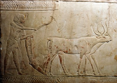 Ploegen van een Egyptische stele, 18e dynastie, 1332 v.Chr.-1323 v.Chr. door Unbekannt