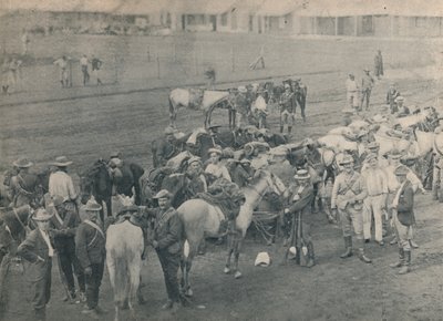 Plumers paard, ca. 1900 door Unbekannt
