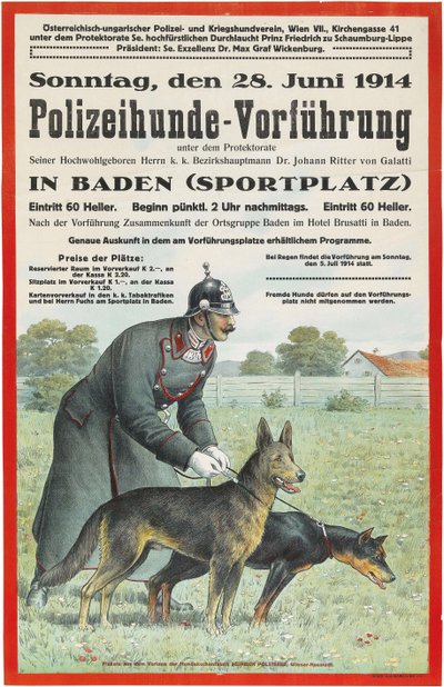 Demonstratie van politiehonden in Baden, 1914 door Unbekannt