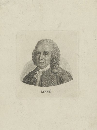 Portret van Carl Linnaeus door Unbekannt