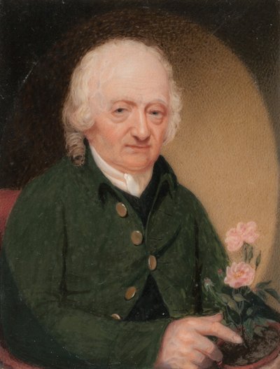 Portret van een heer, ca. 1810-15 door Unbekannt