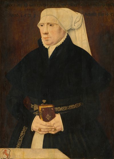 Portret van een dame, 1532 door Unbekannt