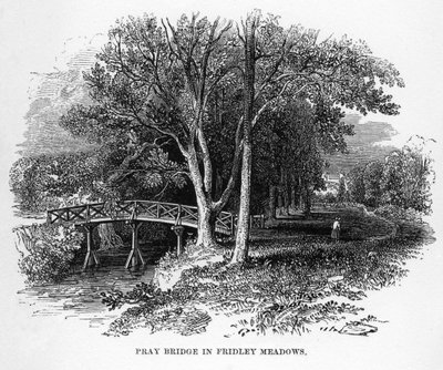 Pray Bridge in Fridley Meadows, Surrey, 19e eeuw door Unbekannt