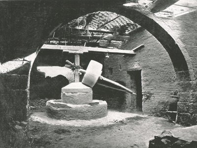 Primitieve korenmolen, Nijldelta, Egypte, 1895 door Unbekannt