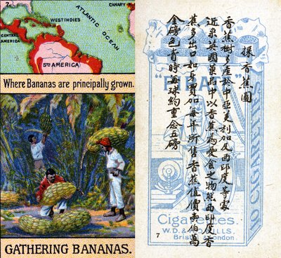 Belangrijkste gebieden voor bananenteelt, uit de serie 