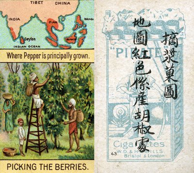 Belangrijkste gebieden voor de productie van peper, uit de serie 