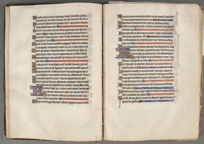 Psalter, 13e eeuw door Unbekannt