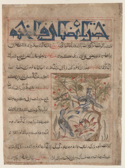 Eigenschappen van ringduiven recto, over de voordelen van kwartels verso..., ca. 1300 door Unbekannt