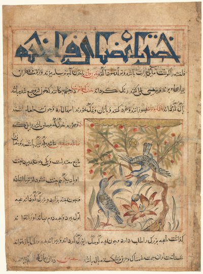 Eigenschappen van Ringduiven recto uit een Manafi al-Hayawan Over het Nut van Dieren, ca. 1300 door Unbekannt