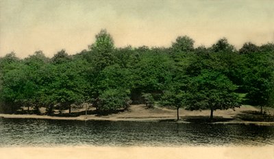 Queensmere, Wimbledon Common, Londen door Unbekannt