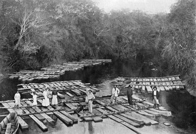 Vlotten op de Tebicuary-mi Rivier, Paraguay, 1911 door Unbekannt