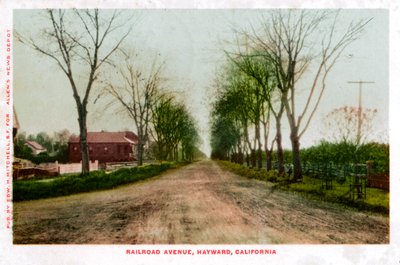 Railroad Avenue, Hayward, Californië, 1905 door Unbekannt