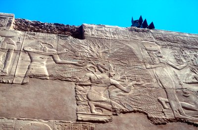 Ramses II en de Levensboom, Karnak, Egypte, 13e eeuw v.Chr. door Unbekannt