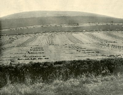 Maaier & Binder Competitie, Mount Blowhard, nabij Ballarat, 1901 door Unbekannt