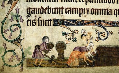 Maaien en schoven binden uit de Luttrell Psalter, ca 1330 door Unbekannt