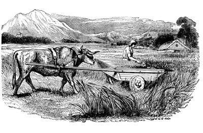 Reconstructie van Romeinse maaiwagen, zoals beschreven door Plinius, Gravure, 1860 door Unbekannt