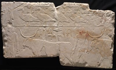 Reliëf van Mannen die Vogels en Vee Brengen, ca. 2311-2281 v.Chr. door Unbekannt