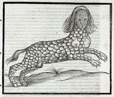 Representatie van het wezen Lamia (Sybaris) Gravure uit 