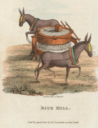 Rijstmolen, 1813 door Unbekannt