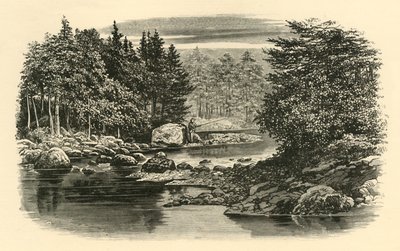 Rivierscène, Langdale, c1890 door Unbekannt
