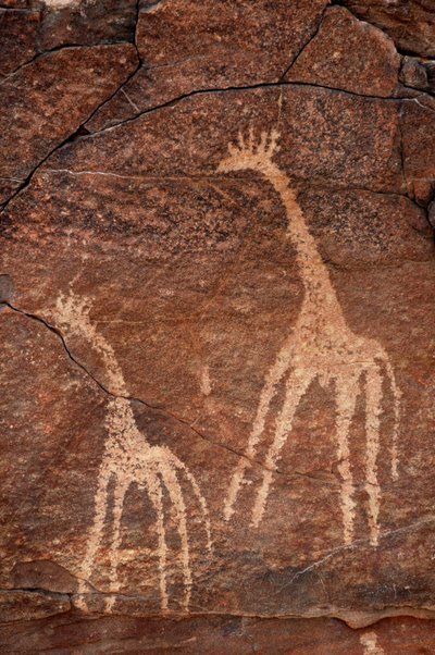 Rotstekeningen, Prehistorie: (detail) van een gravure van giraffen in het Uweinat-massief, Egypte. (Periode van 8000 tot 3000 jaar v.Chr.). Fotografie door Unbekannt