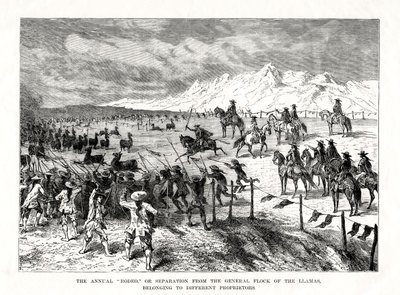 Rodeo, Zuid-Amerika, 1877 door Unbekannt