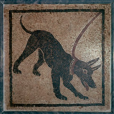 Romeins mozaïek van een hond, 1e eeuw door Unbekannt