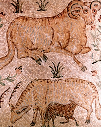 Romeins mozaïek van een ram, een koe en een kalf, 4e eeuw na Chr. door Unbekannt