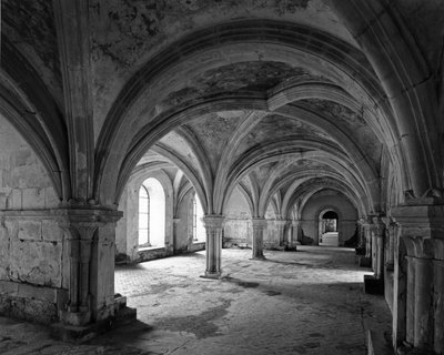 Romaans architectuur: uitzicht op de kapittelzaal van de Cisterciënzer abdij van Fontenay gesticht in 1118 (Côte d