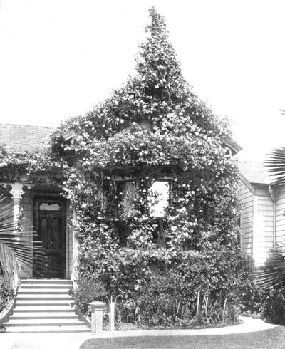 Rose Cottage, South Spring Street, Los Angeles, Californië, VS, c1900 door Unbekannt