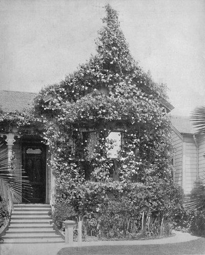 Rose Cottage, South Spring Street, Los Angeles, Californië door Unbekannt