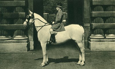 Koninklijke begeleider in scharlaken livrei, 1950s door Unbekannt