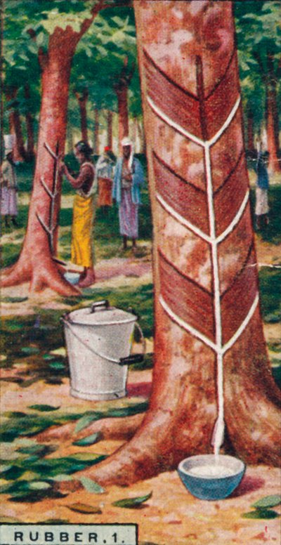 Rubber, 1. Het aftappen van de bomen, Ceylon door Unbekannt
