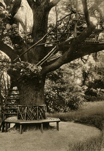 Rustieke behandeling. - Tuinhuisje in een boom, een ideaal theehuis, 1920 door Unbekannt