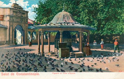 Salut de Constantinople - Duiven in de binnenplaats van Eyoub, ca. 1900 door Unbekannt