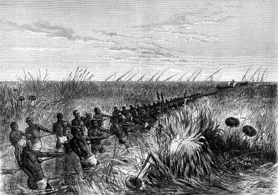 Samuel Bakers boot door riviergras gesleept, 1864-1874 door Unbekannt
