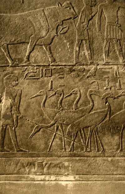 Saqqara - Graf van Ti muurschilderingen door Unbekannt