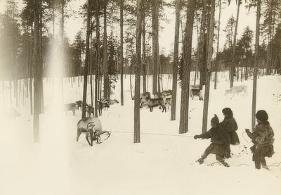 Zweden. Samen bij het vangen van een rendier. Omstreeks 1900 door Unbekannt