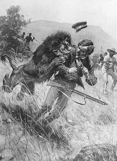 Schotse missionaris en ontdekkingsreiziger David Livingstone aangevallen door een leeuw, Afrika, 19e eeuw door Unbekannt