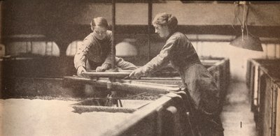 Gist vastschroeven in een brouwerij in Burton-On-Trent, c1916, 1935 door Unbekannt