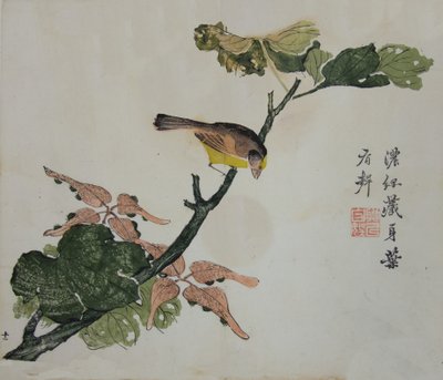 Zaden en Aleurites Cordata: Pagina uit The Mustard Seed Garden Manual of..., 1782, 2e editie door Unbekannt