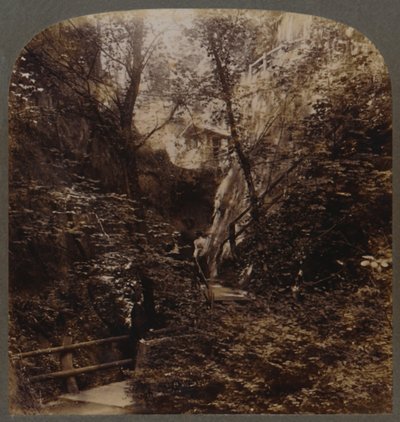 Shanklin Chine van Wereldwijde Faam, Isle of Wight, Engeland door Unbekannt
