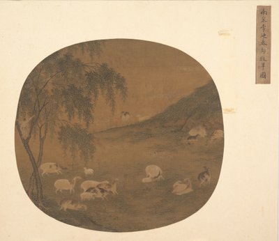 Schapen en Herderjongen door Unbekannt